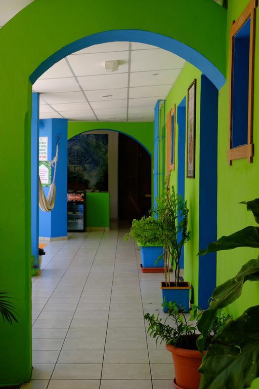 Hostal Casa Verde Santa Ana Exterior foto